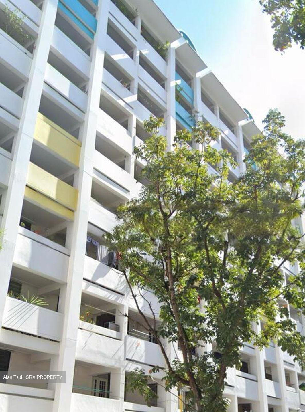 Blk 5 Joo Seng Green (Toa Payoh), HDB 3 Rooms #449192291